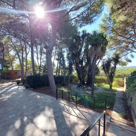 Chalet Rustico Con Piscina Y Barbacoa, Valencia Torrent  Exterior photo